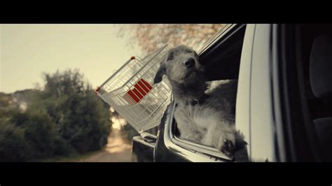 Coop On Air Con Il Nuovo Spot Tv Dedicato Al Pet Food Firma Im Not A