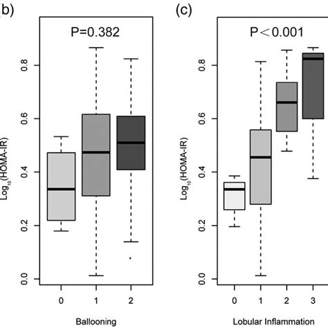 Boxplot Of Homeostatic Model Assessment Of Insulin Resistance Homa Ir