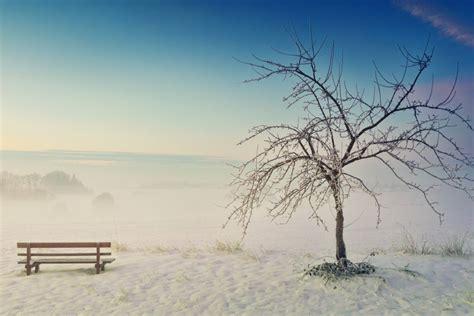 Park Bench Winter Royalty Free Photo