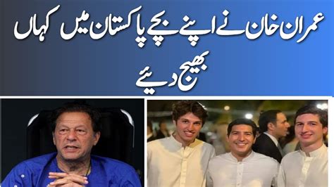 Imran Khan Sons Comes To Pakistan Imran Khan Sons Reach Pakistan Imran