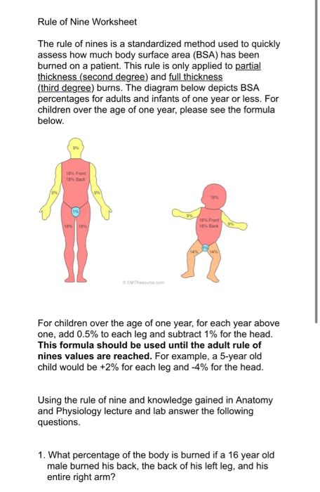 Rule Of Nines Burn Chart PDF: Adult And Child Calculator,, 53% OFF