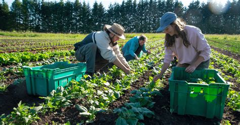 Organic Farmers will benefit from USDA $300 Million Plan to Support ...