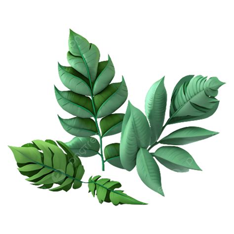 Hojas Verdes Png Hojas De Plantas Hoja Hoja De La Selva Png Y Psd