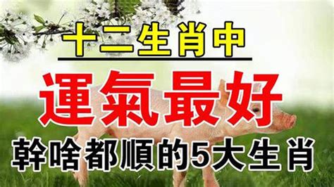 老天爺都壓不住！ 10月起翻身暴富的5大生肖！抓住機會，最少旺10年 【佛之緣】 Youtube