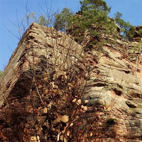 Wandern Pfälzer Rundwanderung mit Einkehr Bethof Tour 154085