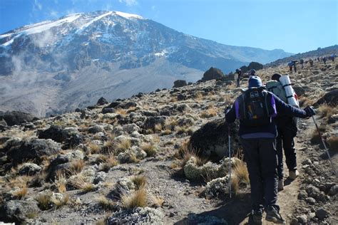 Bush Troop Safaris Mt Kilimanjaro Hiking Takes You For A Memorable