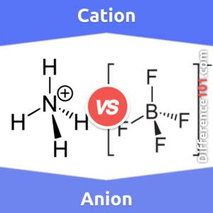 Cation vs. Anion: 7 Key Differences, Pros & Cons, Examples | Difference 101