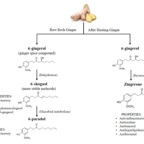 Chemical Structures And Properties Of Ginger Bioactive Compounds