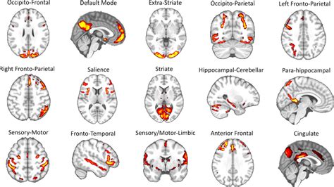 Resting State Large Scale Networks Identified Via Independent