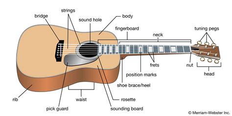 Guitar Summary Britannica