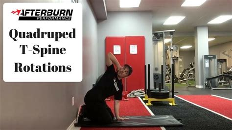 Mobility Monday Quadruped T Spine Rotations Youtube