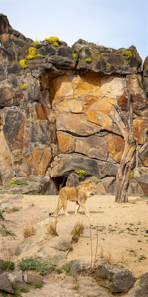 Berlin zoo - Trip with Toddler