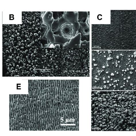 Surface Morphologies A Az31b Alloy Surface After Irradiation With