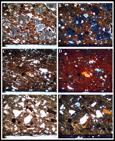 Photomicrographs Of Thin Sections All Taken At 100x Magnification