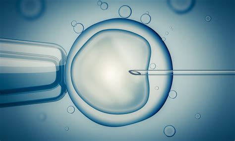 Understanding IVF Embryo Transfer - Blog Medicine