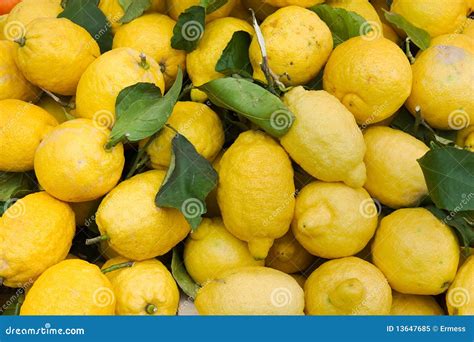 Organic lemons stock image. Image of natural, healthy - 13647685