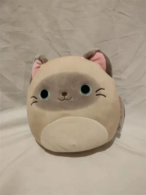 Squishmallow Felton Siamese Cat 8 Inch 20cm By Kellytoys Squishmallows