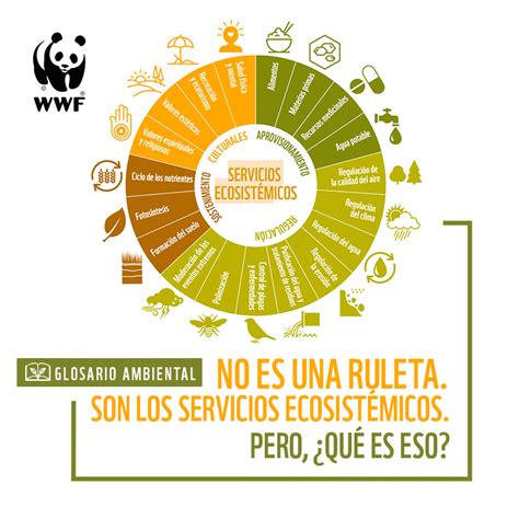 Glosario ambiental Servicios ecosis qué WWF