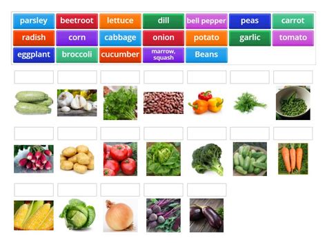 4 Vegetables - Match up