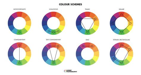 Complementary Colors for Photography (Color Theory)