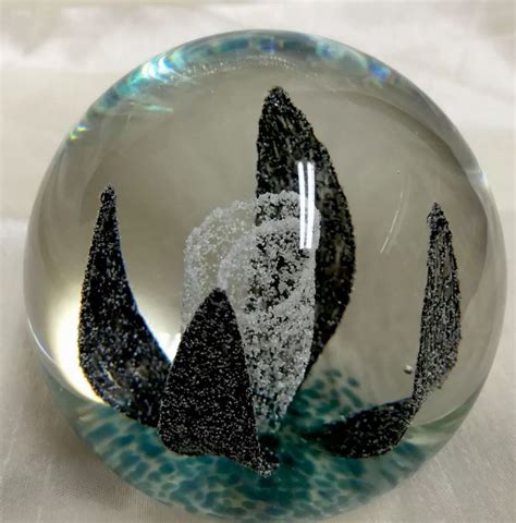 Elegant Midnight Caithness Glass Paperweight Limited Edition