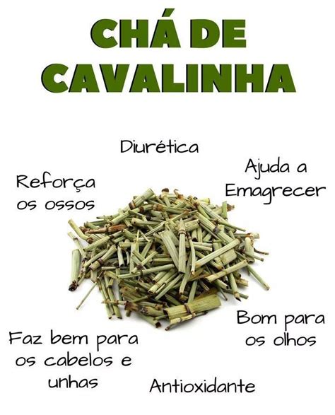 Chá de cavalinha para que serve Artofit