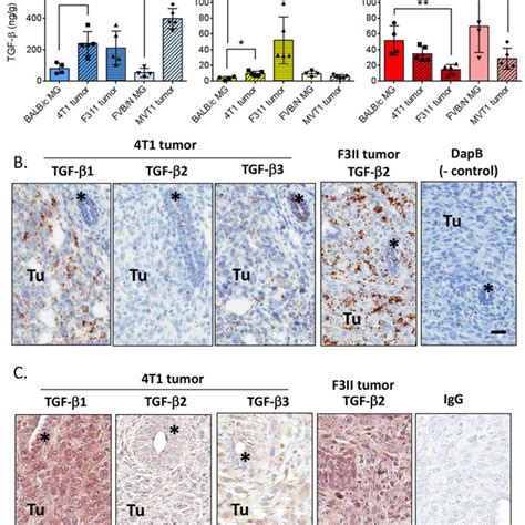 Tgf β Isoform Expression In The Normal Mammary Gland Of Balbc Mice A