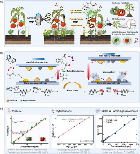 Wearable Sensor Supports In‐situ And Continuous Monitoring Of Plant Health In Precision