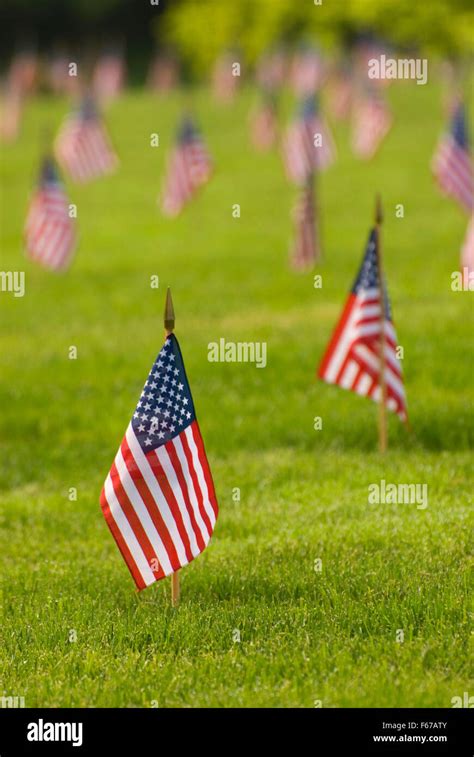 Memorial Day flags on graves, Willamette National Cemetery, Portland ...