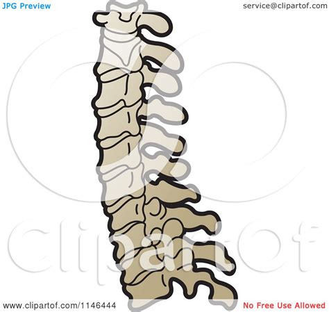 Clipart Of A Spine Royalty Free Vector Illustration By Lal Perera