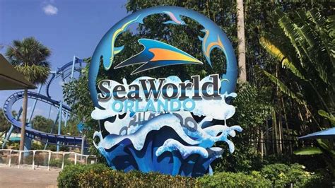 The Complete Guide To Seaworld Orlando Endless Summer Florida