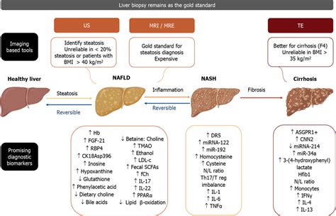 Although Liver Biopsy Remains As The Gold Standard For The Diagnosis Of