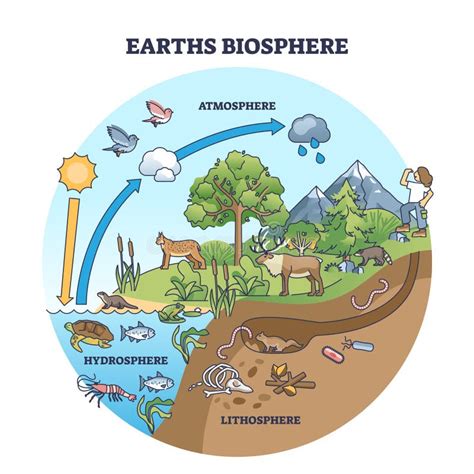 Biosph Re Terrestre Avec Atmosph Re Hydrosph Re Et Lithosph Re Sch Ma