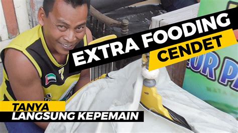 Extra Fooding EF Yang Di Sering Digunakan Untuk Burung Cendet YouTube