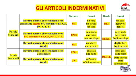 Articoli Determinativi Ed Indeterminativi Pptx