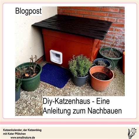 Katzenhaus Selber Bauen Eine Diy Katzenhaus Anleitung