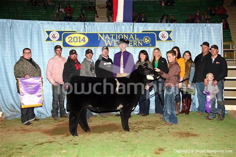 Nwss Open Prospect Steer Show The Pulse