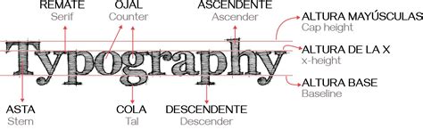 Aprender Acerca 86 Imagen Que Es Una Fuente O Tipografia Viaterra Mx