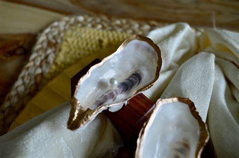 Oyster Shell Napkin Holders Napkin Rings Lowcountry Etsy