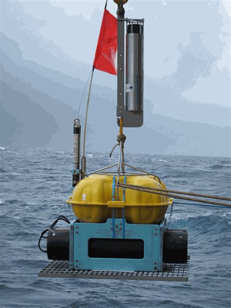 Array Of Autonomous Short Period Ocean Bottom Seismometers From The