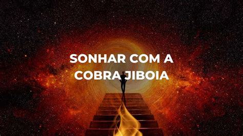 Sonhar Com Cobra Jiboia - Sonhar com a cobra jiboia: O que esse símbolo pode revelar sobre você?
