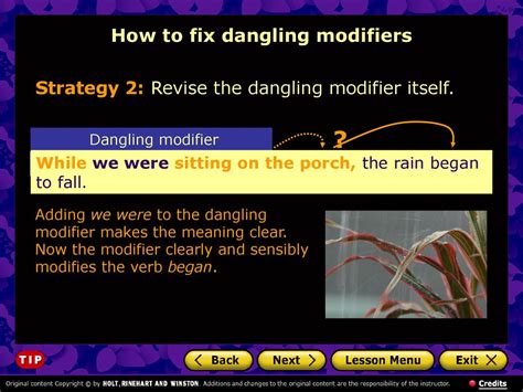 Correcting Dangling Modifiers Ppt Download