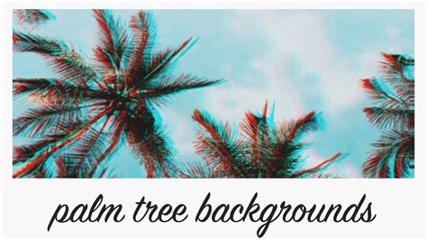 palm tree aesthetic background animations - YouTube