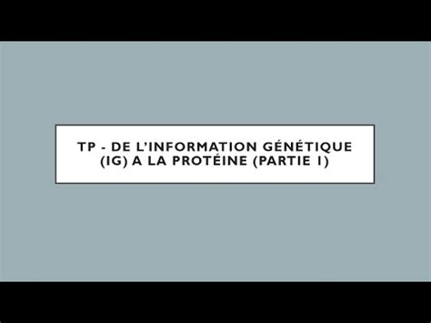 Svt Resp Corrig Du Tp Transcription Partie Youtube