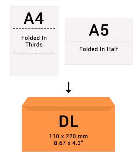 Envelope Size Guide Envelopes Sizes Standard Envelope Sizes