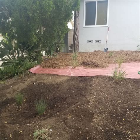11 Sheet Mulch ideas | sheet mulching, mulching, mulch
