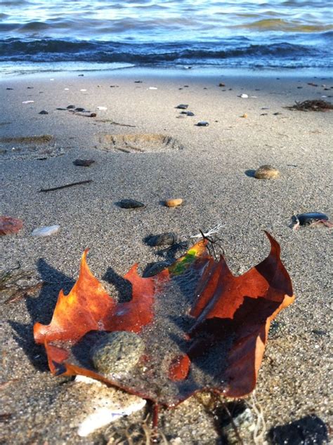 Autumn At The Beach Sea Pinterest At The Beach The Beach And Beaches