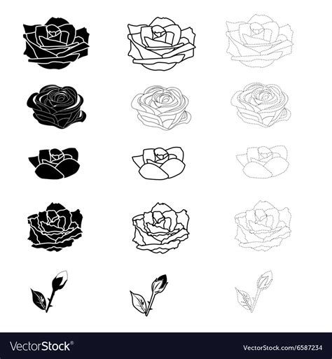 Rose pattern Royalty Free Vector Image - VectorStock