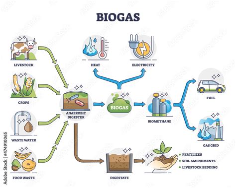 Biogas or bio gas division for energy consumption and sources outline diagram. Labeled ...