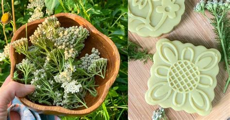 Yarrow Soap Recipe {cold process}